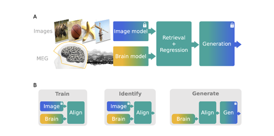 用MEG重构人类大脑成像过程，Meta发布重磅研究！插图1